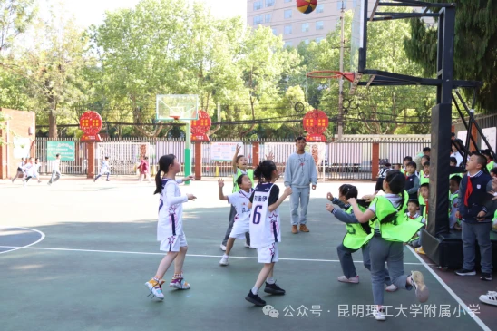 为什么<a href=